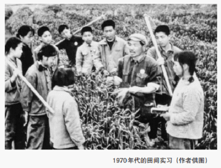 764（轉載）“心繫母校”主題徵文02 | 1970 年代的九一六中學（安慶一中）