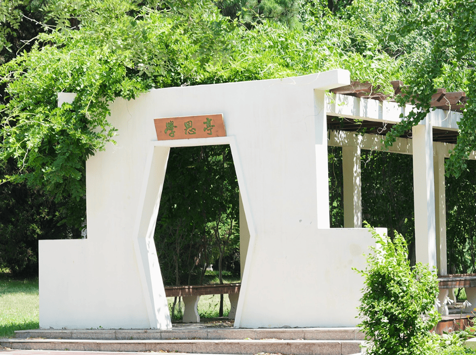 原創2026年“很難受”的3所大學，位次最高下滑十萬名，考生撿到漏了