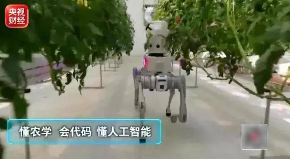 大學專業迎來一輪“上新”，就業前景如何？