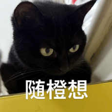 谷歌RSI論文：AI自進化，做夢吧！