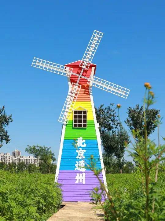 通州新添兒童遊樂場！還有粉色花海，美食節~
